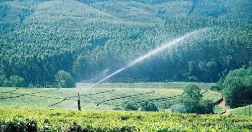 Assam CM Plans ₹4,000 Cr Pressurised Irrigation Network