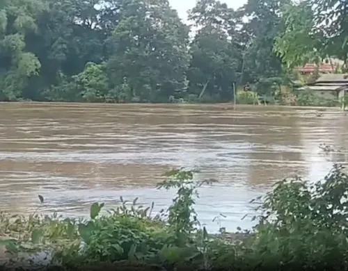 Assam floods: All ferry services to Majuli suspended as Brahmaputra rises