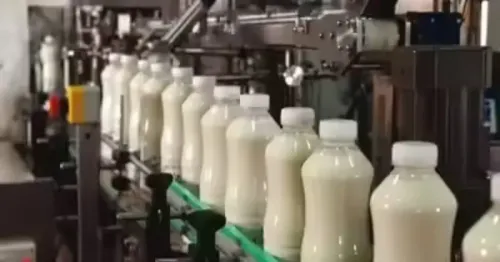 Assam's ₹5/Litre Milk Subsidy Spurs 54.65% Procurement Rise