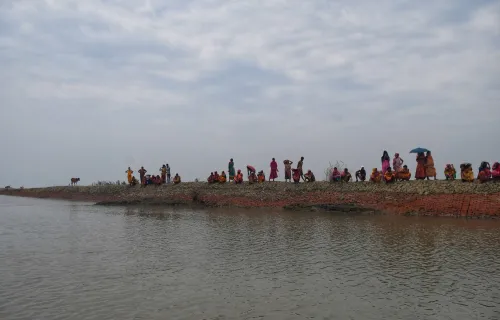 What Happened to the Fisherman Attacked by a Royal Bengal Tiger?
