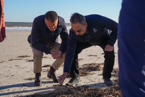 Will the Australian Government Fast-Track the Assessment of the Toxic Algae Outbreak on Marine Species?