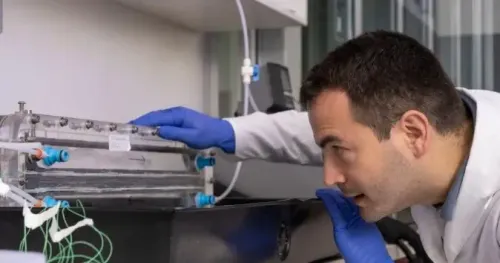 Can Australian Scientists Enhance Vinegar's Antibacterial Properties with Nanoparticles?