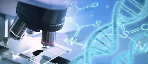 How Can Lung Cancer Cells Predict Treatment Response?