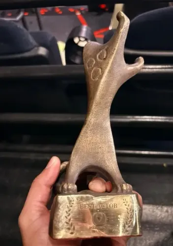 क्या एडब्ल्यूएफएफ अवॉर्ड मेहनत की सच्ची पहचान है? : विशाल जेठवा