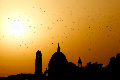 नई दिल्ली: पक्षियों का उड़ान राष्ट्रपति आवास के ऊपर