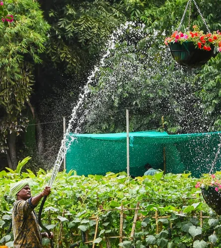 Bengaluru: Preparations underway for Independence Day Flower Show