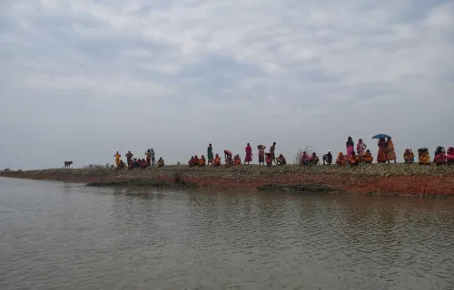 Sundarbans mangrove restoration: Bengal targets 1,600 hectares of encroached forestland