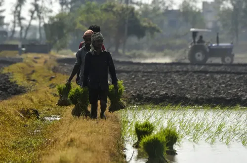 PDS rice quality upgraded for 80 crore PMGKAY beneficiaries, broken grain cap cut