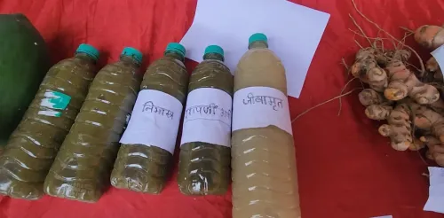 क्या भागलपुर में प्राकृतिक खेती को बढ़ावा दिया जा रहा है?