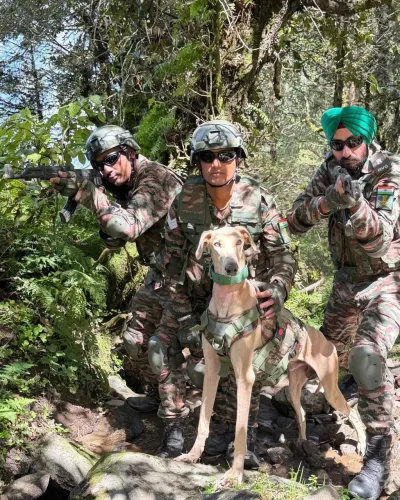 युद्ध अभ्यास 2026: भारतीय सेना के सैन्य डॉग्स ने अमेरिकी सैनिकों के सामने दिखाया दम, रामपुर हाउंड की खास भूमिका