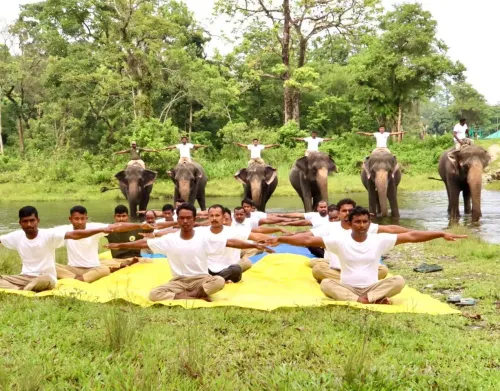 Bhupender Yadav Joins Yoga Session With Elephants at Gorumara