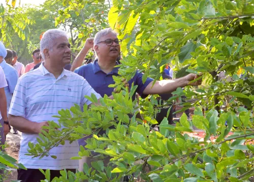Bhupender Yadav Reviews Ek Ped Maa Ke Naam Plantation at CASFOS