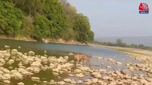 Bhupender Yadav urges tourists: keep eco-tourism sites plastic-free