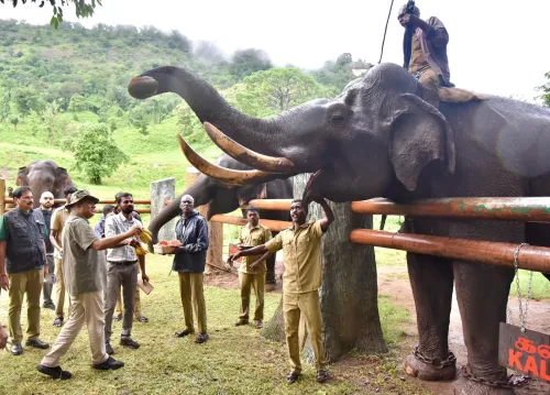 Bhupender Yadav visits Kozhikamudi Elephant Camp in Annamalai Reserve