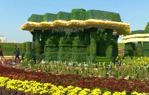 Will the 2026 Ahmedabad Flower Show Be the Most Vibrant Yet?