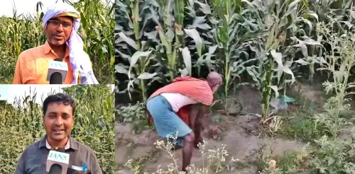 Bihar: Farmers in Motihari Boost Profits with Millets Inspired by PM Modi