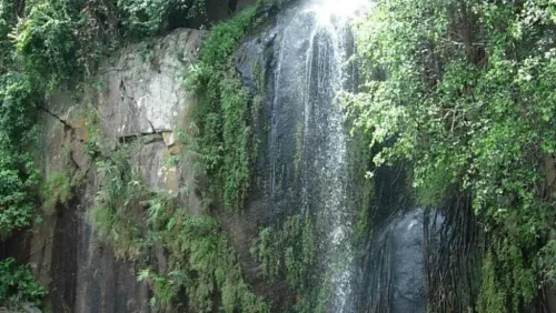 ककोलत जलप्रपात: 160 फीट ऊंचाई से गिरता शीतल झरना, पौराणिक मान्यता में श्रीकृष्ण का स्नान स्थल