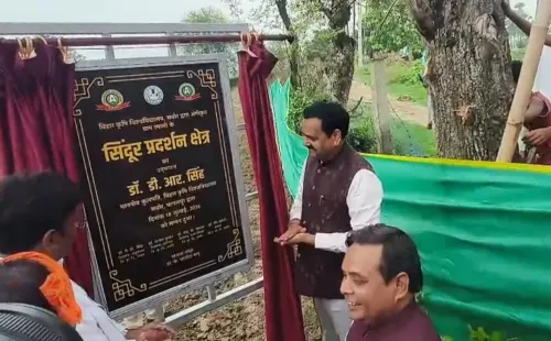 बिहार कृषि विश्वविद्यालय ने रामासी गांव को बनाया भारत का पहला 'सिंदूर ग्राम', 100 महिला किसानों को मिला लाभ