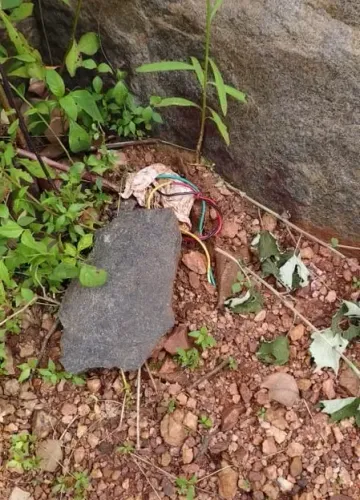 बीजापुर में सीआरपीएफ की बीडीएस टीम ने पांच आईईडी बरामद कर किए नष्ट