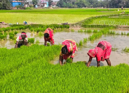 NBA releases ₹8.22 crore ABS funds to rice research bodies, 33 state boards