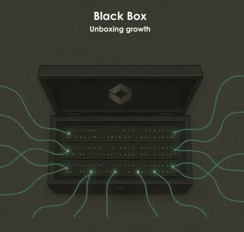 Did Black Box Report a 28% YoY Growth in PAT for Q1 FY26?