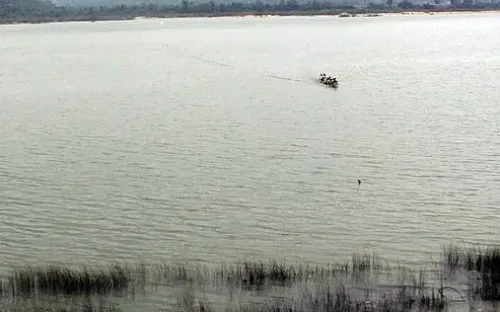 What Happened to the Three Andhra Youths Found in the Godavari?