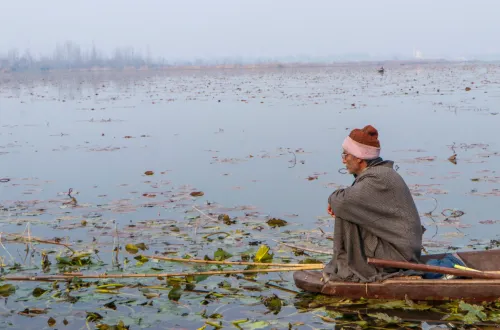 Why is Kashmir Experiencing Bone-Chilling Cold as Temperatures Plummet? Dense Fog in Jammu