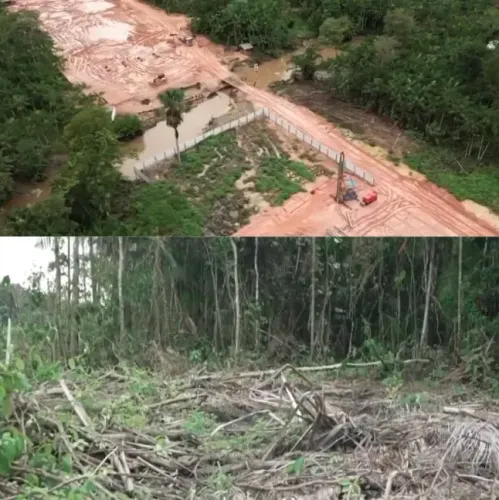 Brazil Faces Criticism Over Amazon Deforestation Ahead of Climate Summit