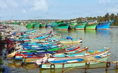 Breeding Season: 61-Day Fishing Ban to Commence in Tamil Nadu on April 15