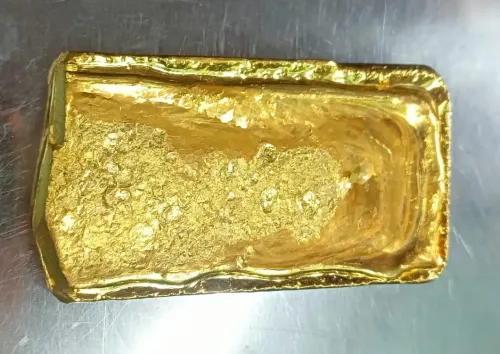 Did BSF Successfully Foil a Gold Smuggling Attempt Along the Indo-Bangladesh Border?