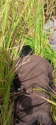 BSF shoots two Pakistani intruders dead at Punjab border in Tarn Taran
