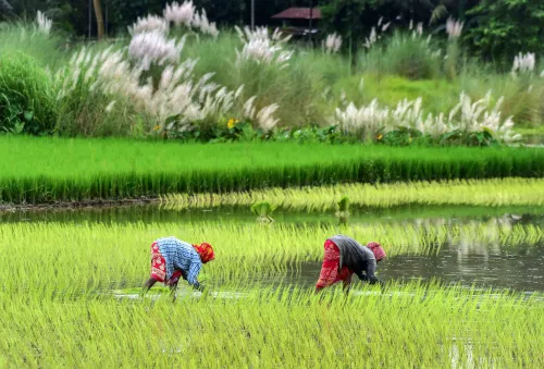 Budget 2025-26 Provides Significant Support to Agriculture as the 'Primary Engine of Growth'
