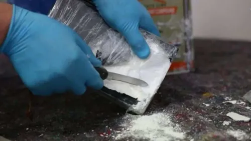Did Bulgaria Just Seize Cocaine in a Diplomatic Vehicle?