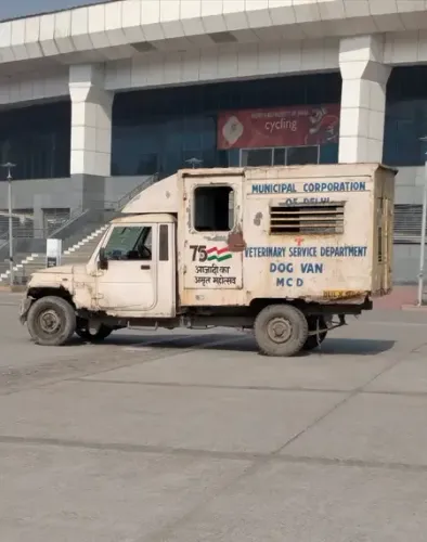 Is the BWF India Open Facing Wildlife Intrusions at IG Sports Complex?
