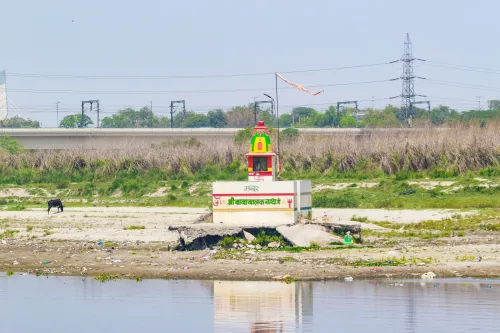 नई दिल्ली: यमुना नदी के किनारे जीवन