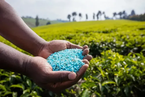 What Are the New Nutrient-Based Subsidy Rates for Rabi 2025-26 on Phosphatic and Potassic Fertilisers?