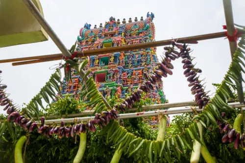 इंद्रकीलाद्री पर्वत पर शाकंभरी उत्सव — सब्ज़ियों से सजा कनक दुर्गा मंदिर