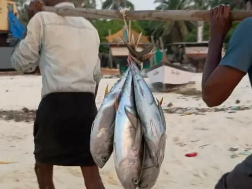 Is the Centre's Approval of Rs 199 Crore for a Smart Fishing Harbour in Andaman a Game-Changer?