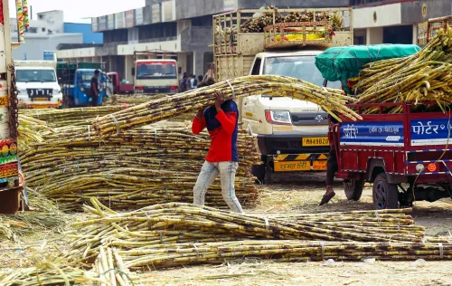 Sugar stock holding limits imposed on dealers from Aug 1 to Nov 30, 2026