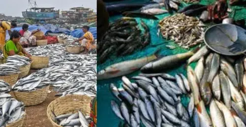 Government Approves ₹4,969 Crore Fund for Fisheries Development