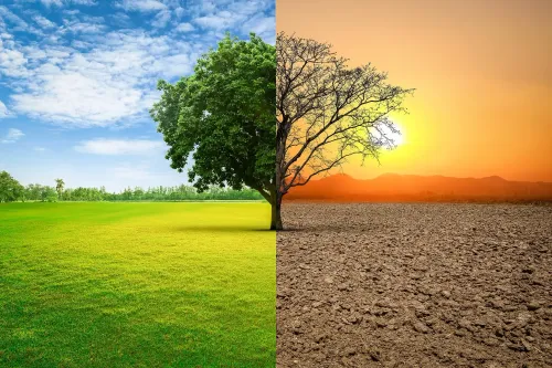 क्या विश्व जनता ने देशों से जलवायु शासन के ठोस कदम उठाने का आग्रह किया?