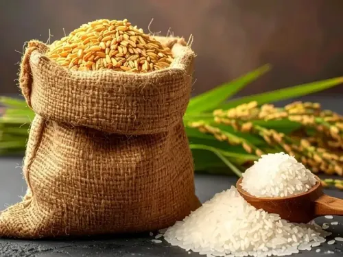 क्या चावल या गेहूं है सेहत के लिए फायदेमंद या हानिकारक?