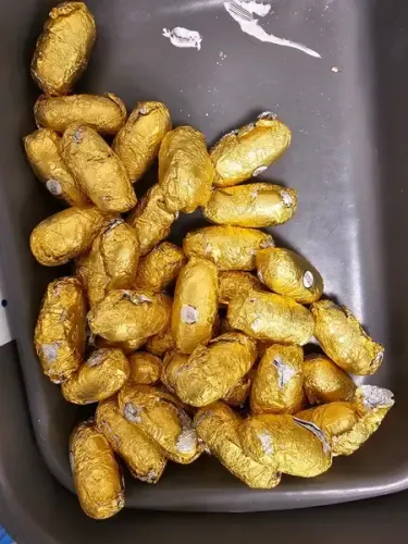 चेन्नई एयरपोर्ट पर एनसीबी ने 60 करोड़ रुपए की 5.618 किग्रा कोकीन जब्त की, दो गिरफ्तार