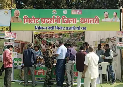 What is the impact of the Millet festival in Dhamtari, Chhattisgarh?