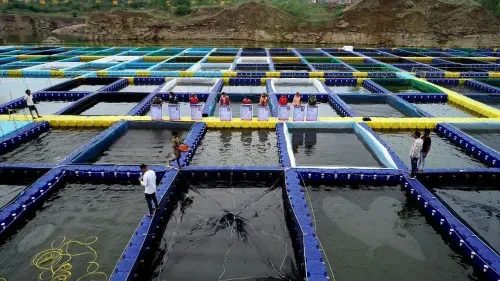 Empowering Chhattisgarh Women through Fish Farming in Repurposed Stone Quarries