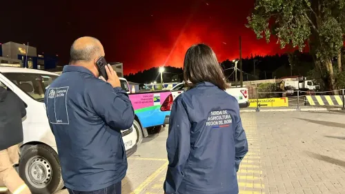 क्या चिली में जंगल की आग से 'बड़ी तबाही का खतरा' है?