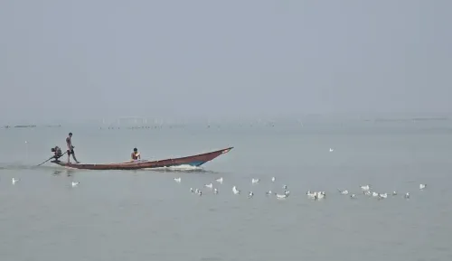 क्या चिल्का झील में डॉल्फिन गणना का सर्वे शुरू हो गया है?