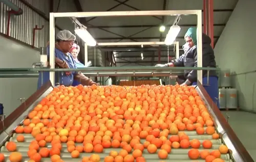 चीन का शून्य-टैरिफ कदम: अफ्रीका के विकास के लिए नए द्वार खोलता है