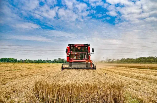 क्या चीन के कृषि और ग्रामीण विकास ने 2025 तक स्थिर प्रगति बनाए रखी?