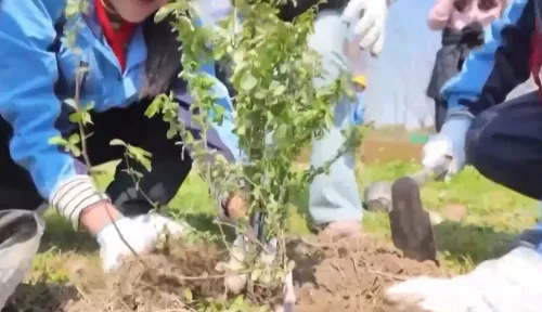 चीन में वन क्षेत्र में अभूतपूर्व वृद्धि